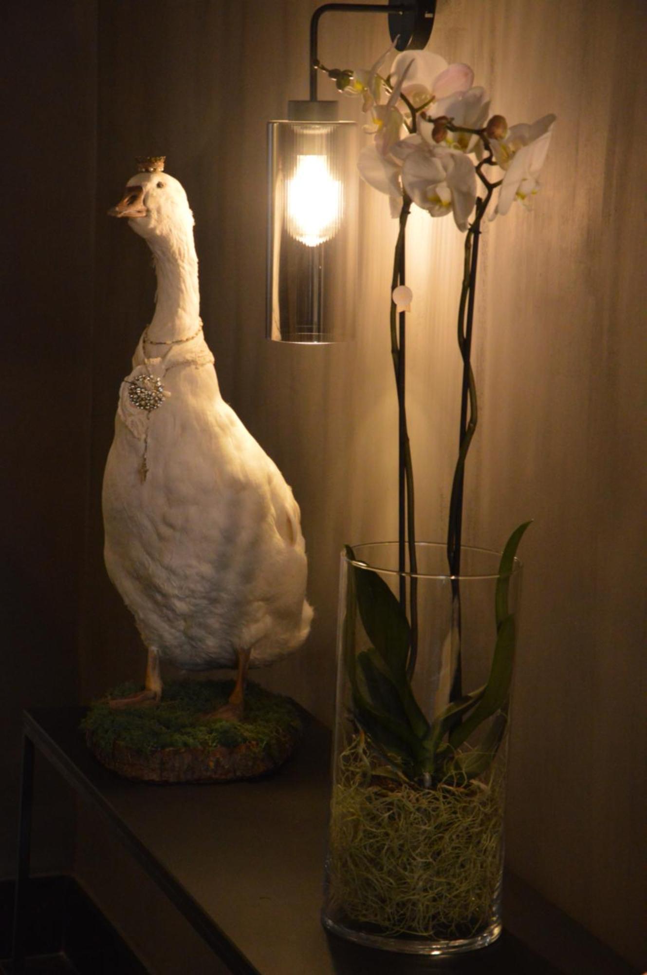 Bed & Breakfast Maison Sint Niklaas